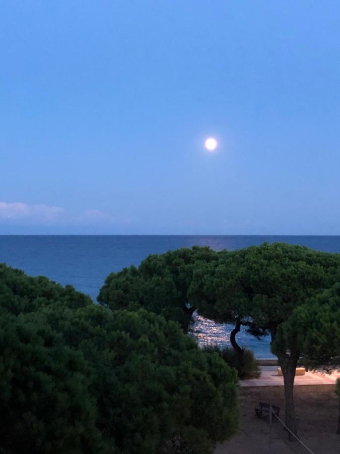 Apartment Direkt Am Strand บลาเนส ภายนอก รูปภาพ